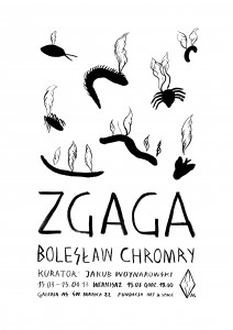 zgaga-grafika